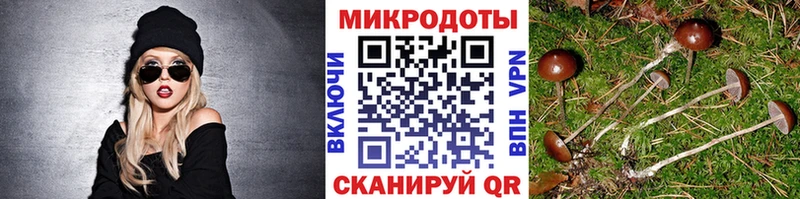 OMG ССЫЛКА  продажа наркотиков  Катайск  Галлюциногенные грибы прущие грибы 